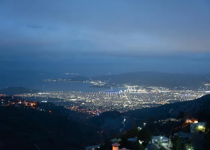 Toma's House Apartment Makrinitsa