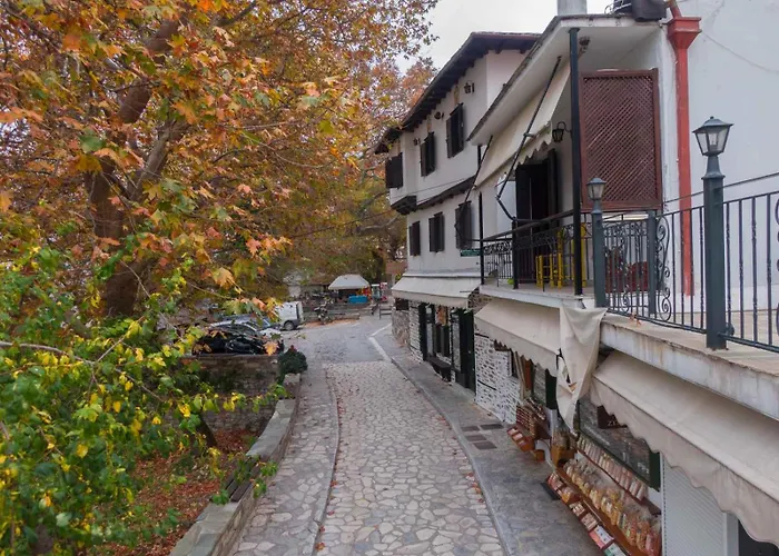 Apartment Toma's House