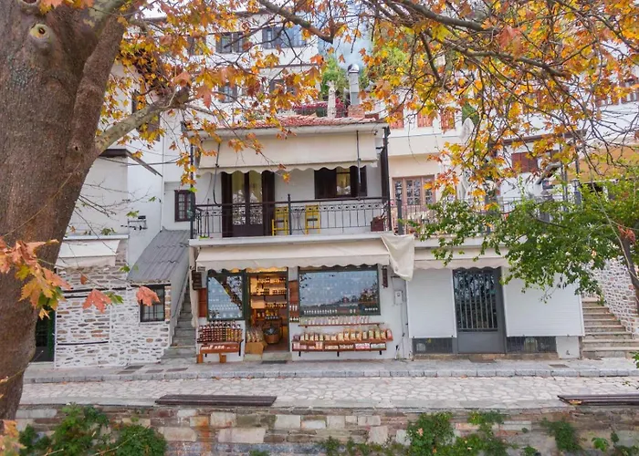 Apartment Toma's House